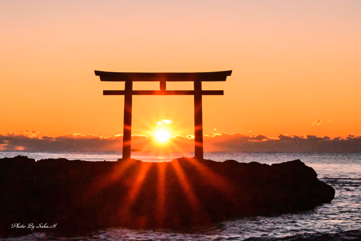 投稿写真：日の出