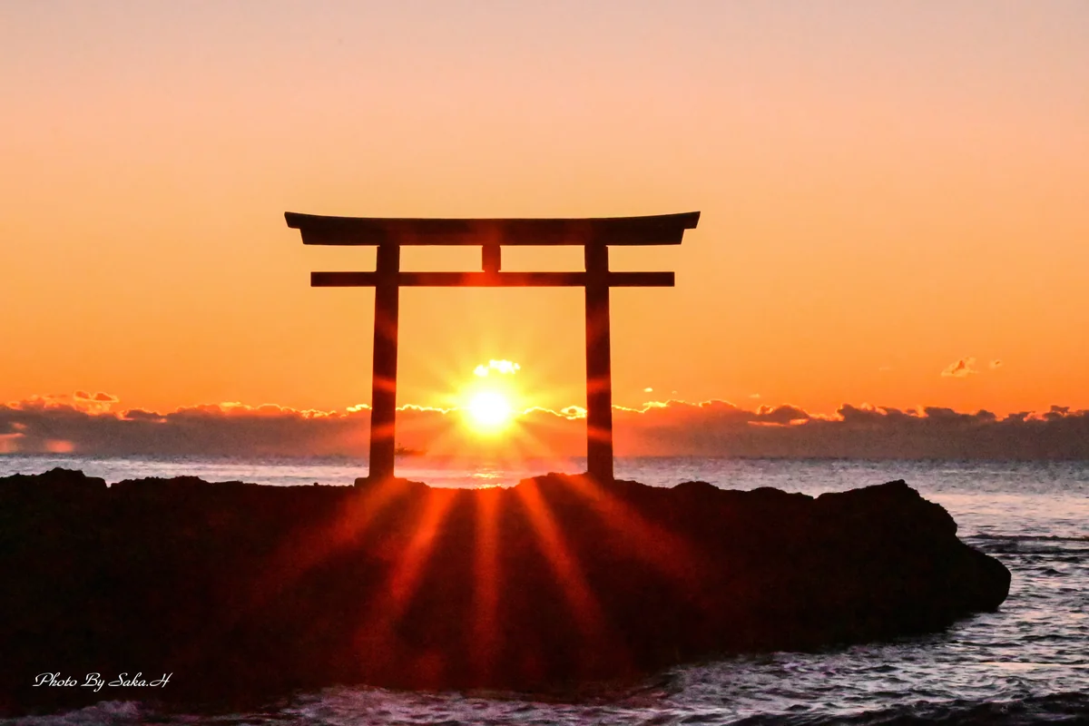 投稿写真：日の出