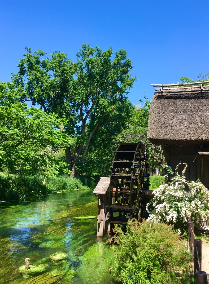 投稿写真：初夏の安曇野