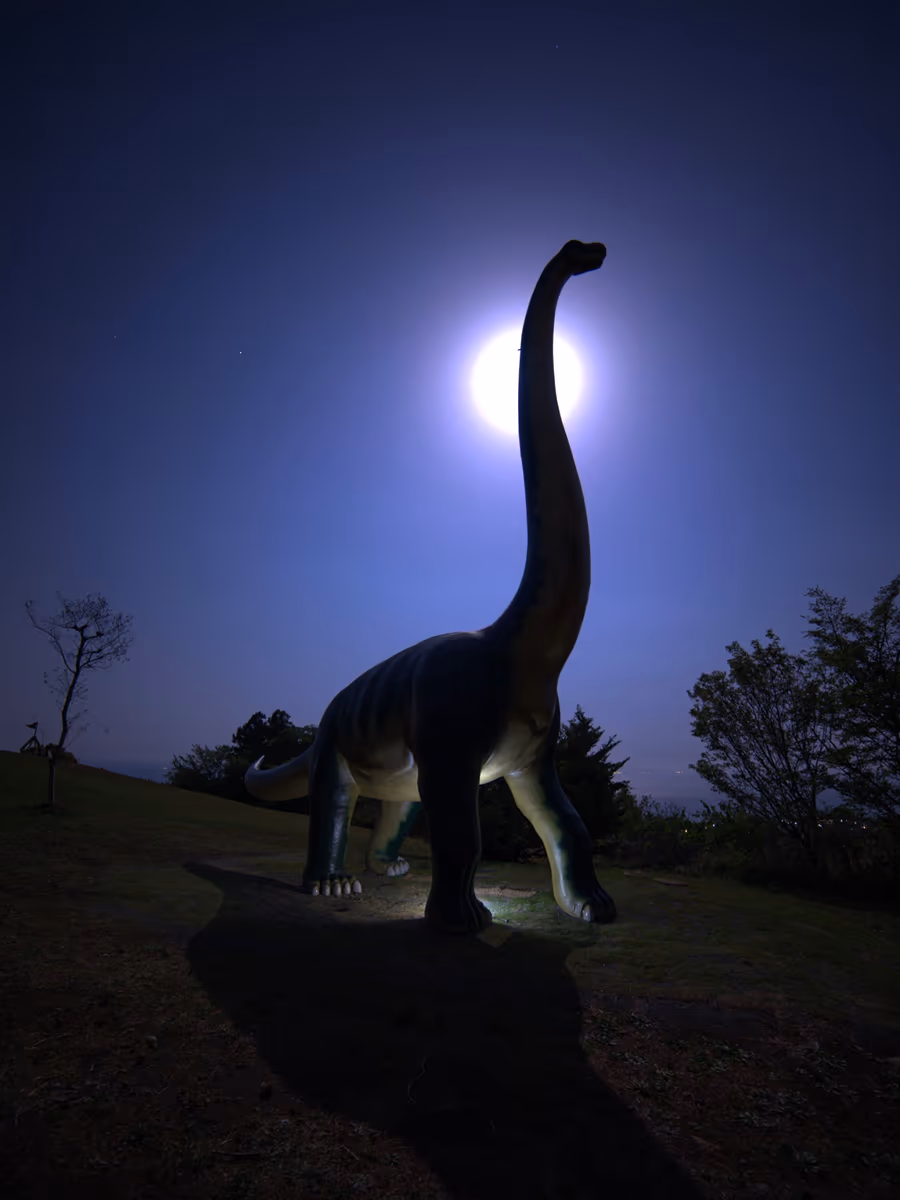 投稿写真：満月の夜に動き出す