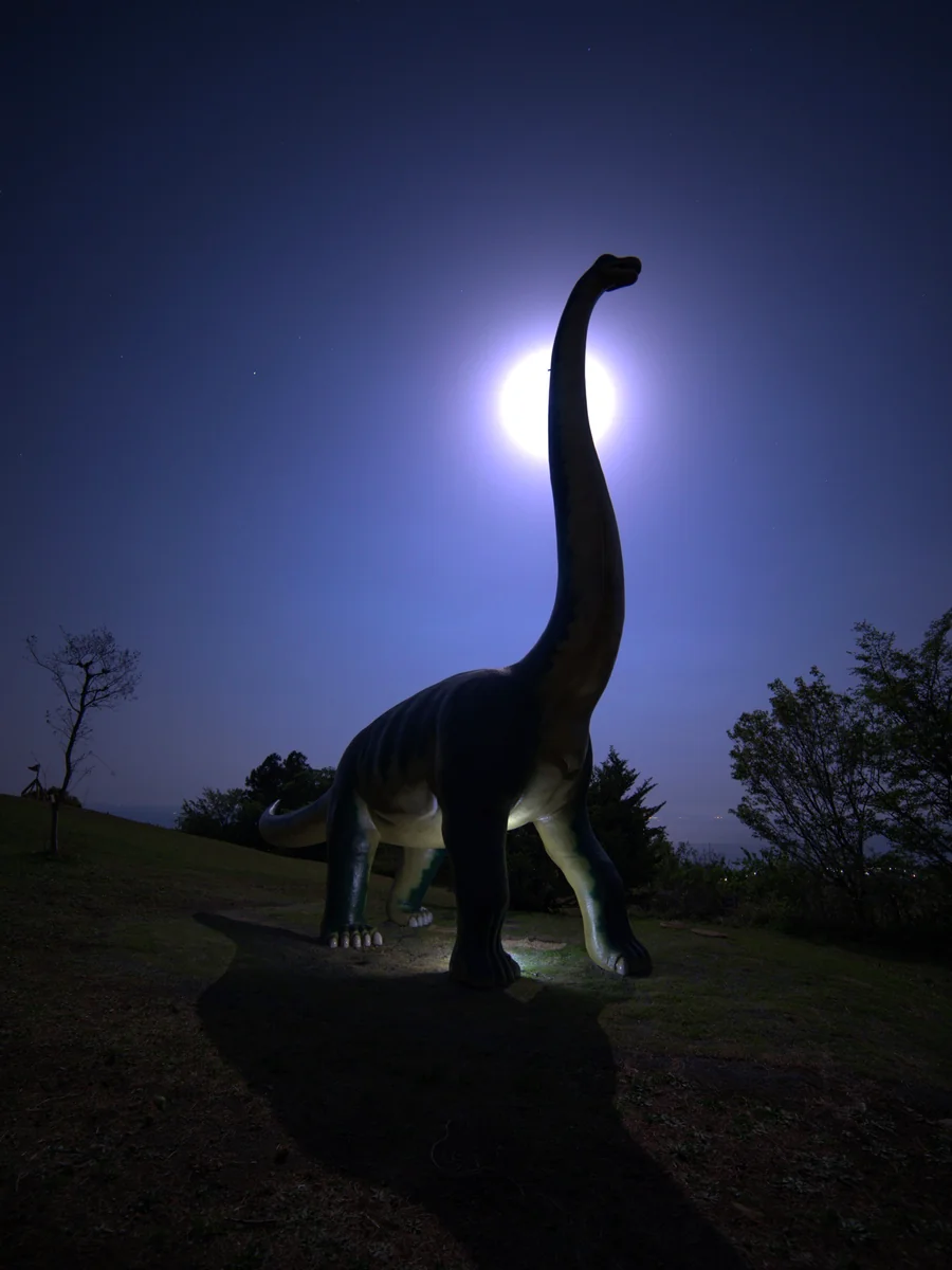 投稿写真：満月の夜に動き出す