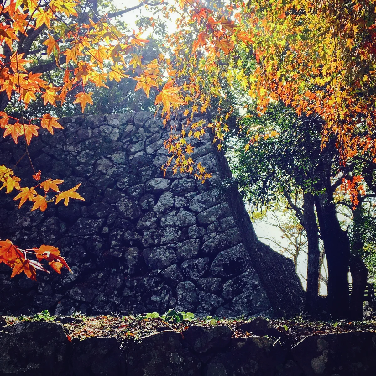 投稿写真：佐伯城