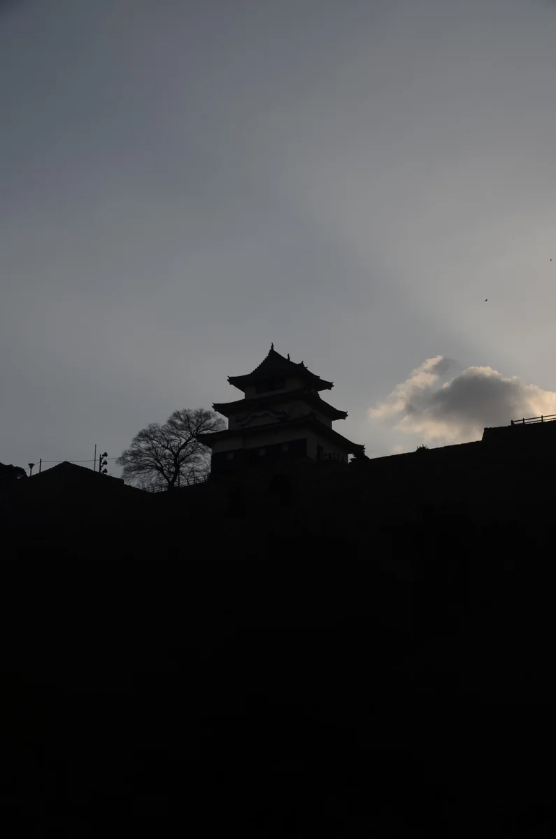 投稿写真：丸亀城天守閣