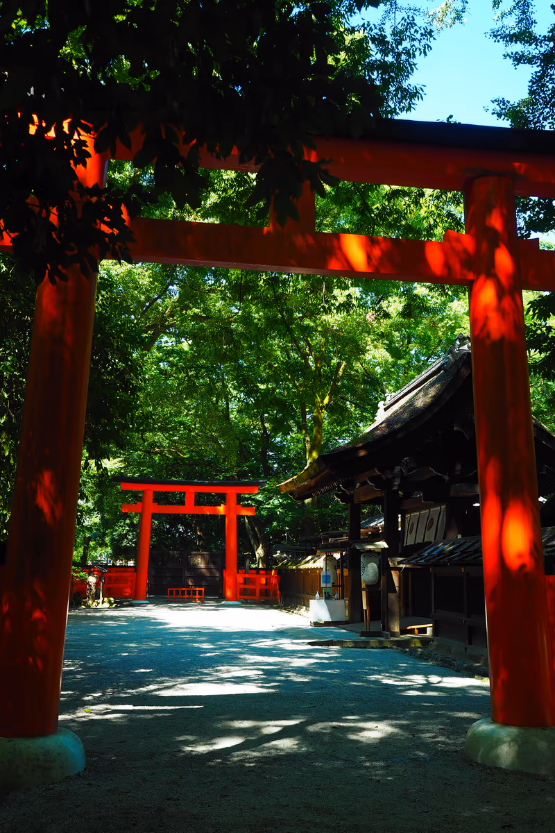 投稿写真：河合神社