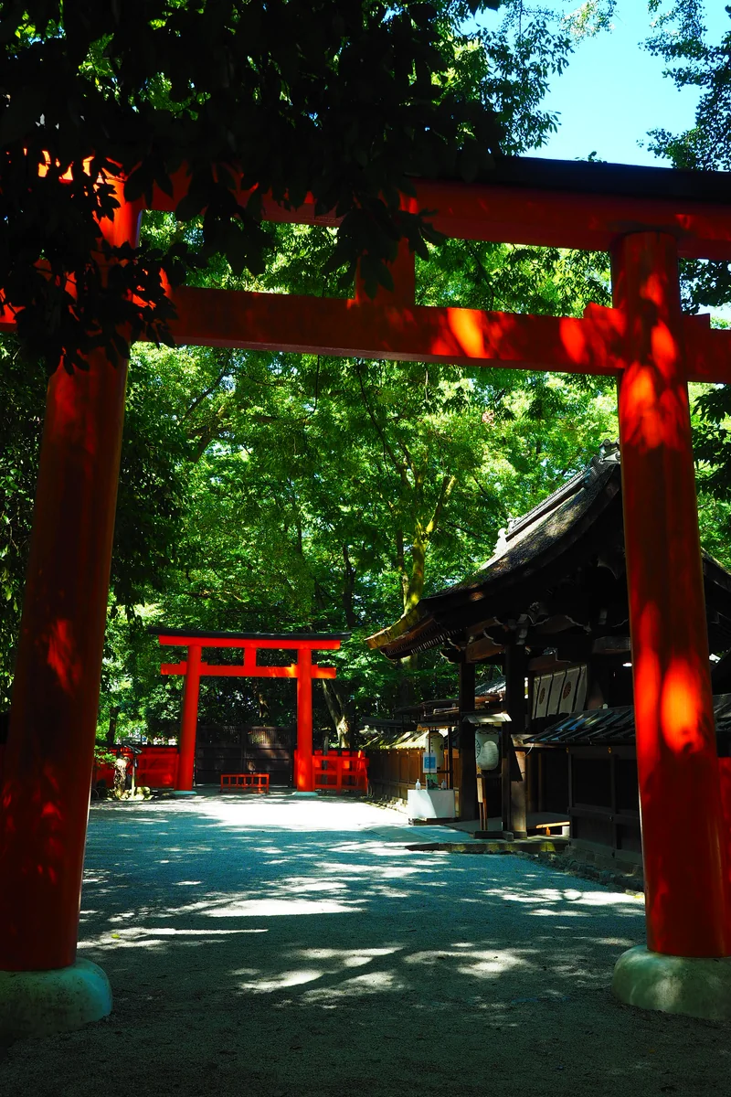 投稿写真：河合神社