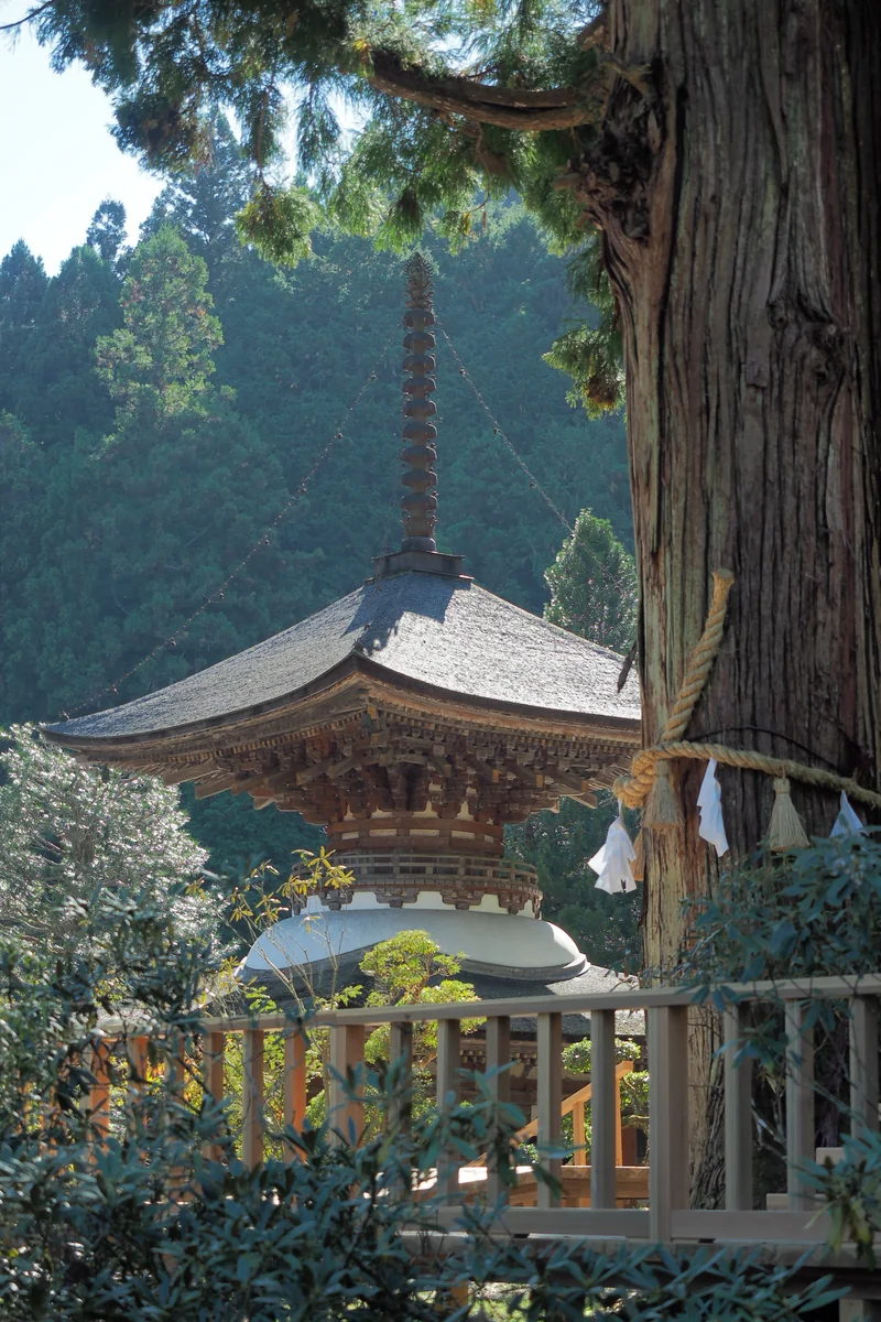 投稿写真：金剛三昧院　多宝塔