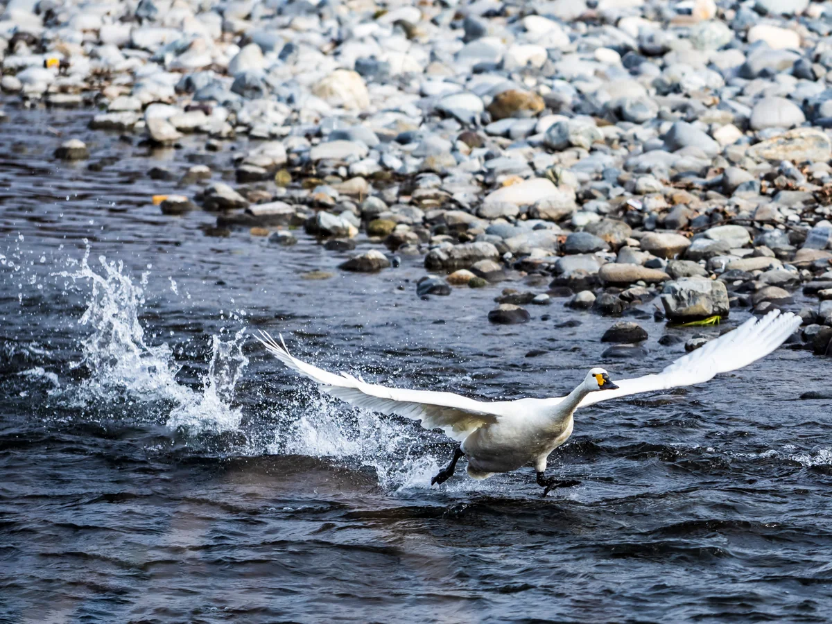 鰻★蜜柑さんの投稿写真