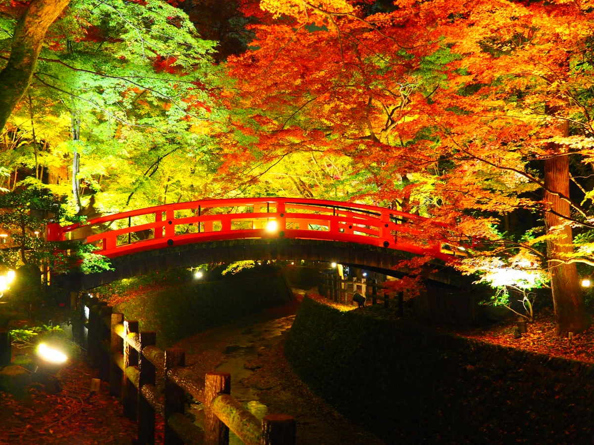 投稿写真：北野天満宮！秋