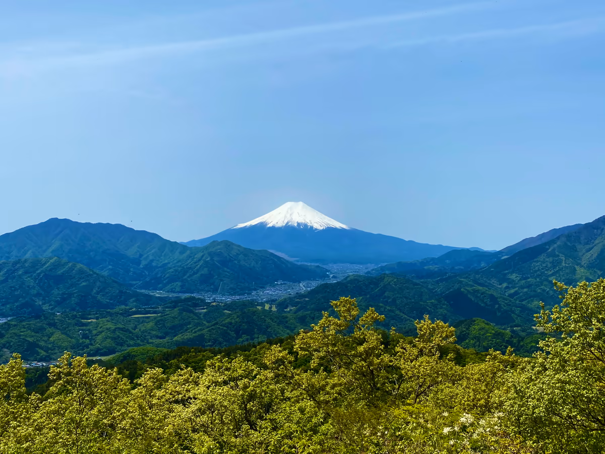 投稿写真：春色の富士