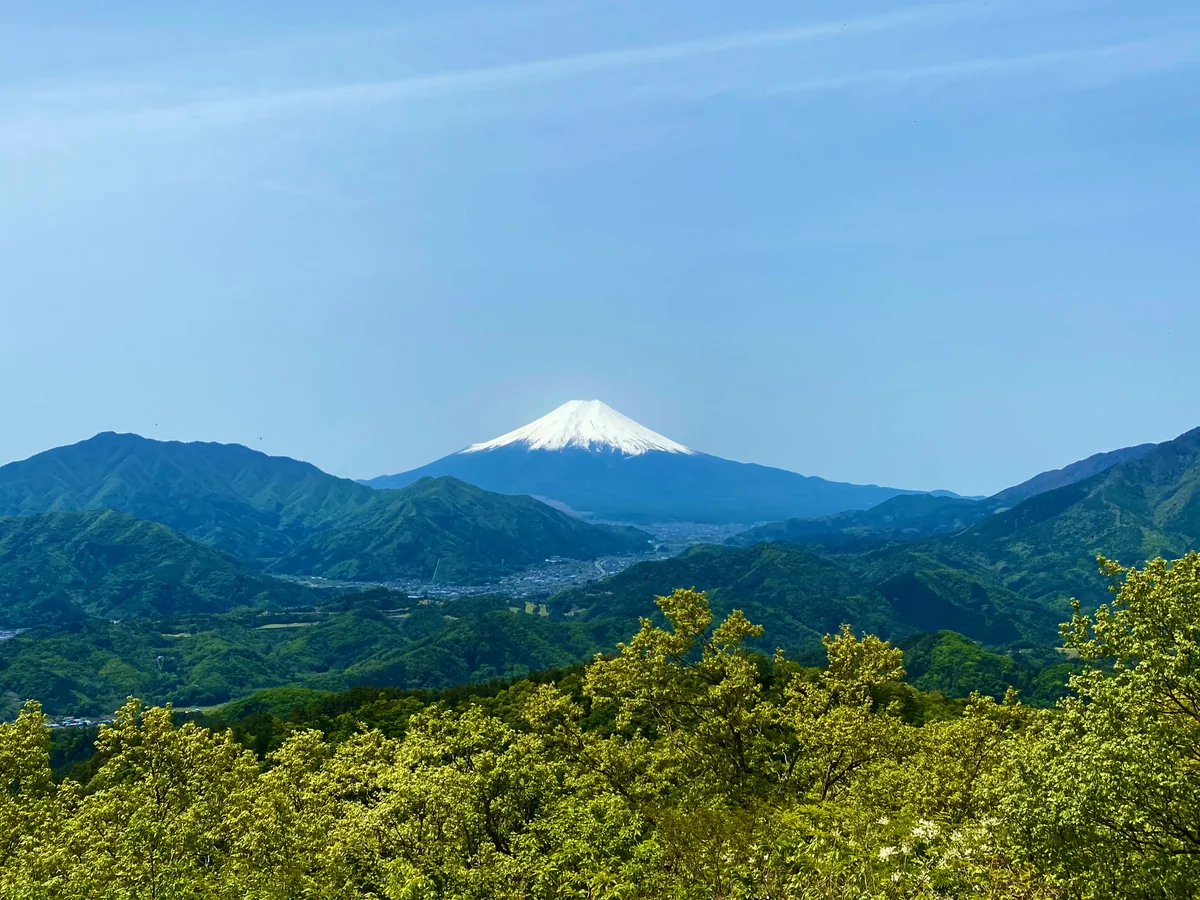 投稿写真：春色の富士