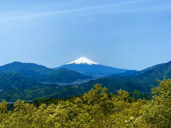 投稿：春色の富士