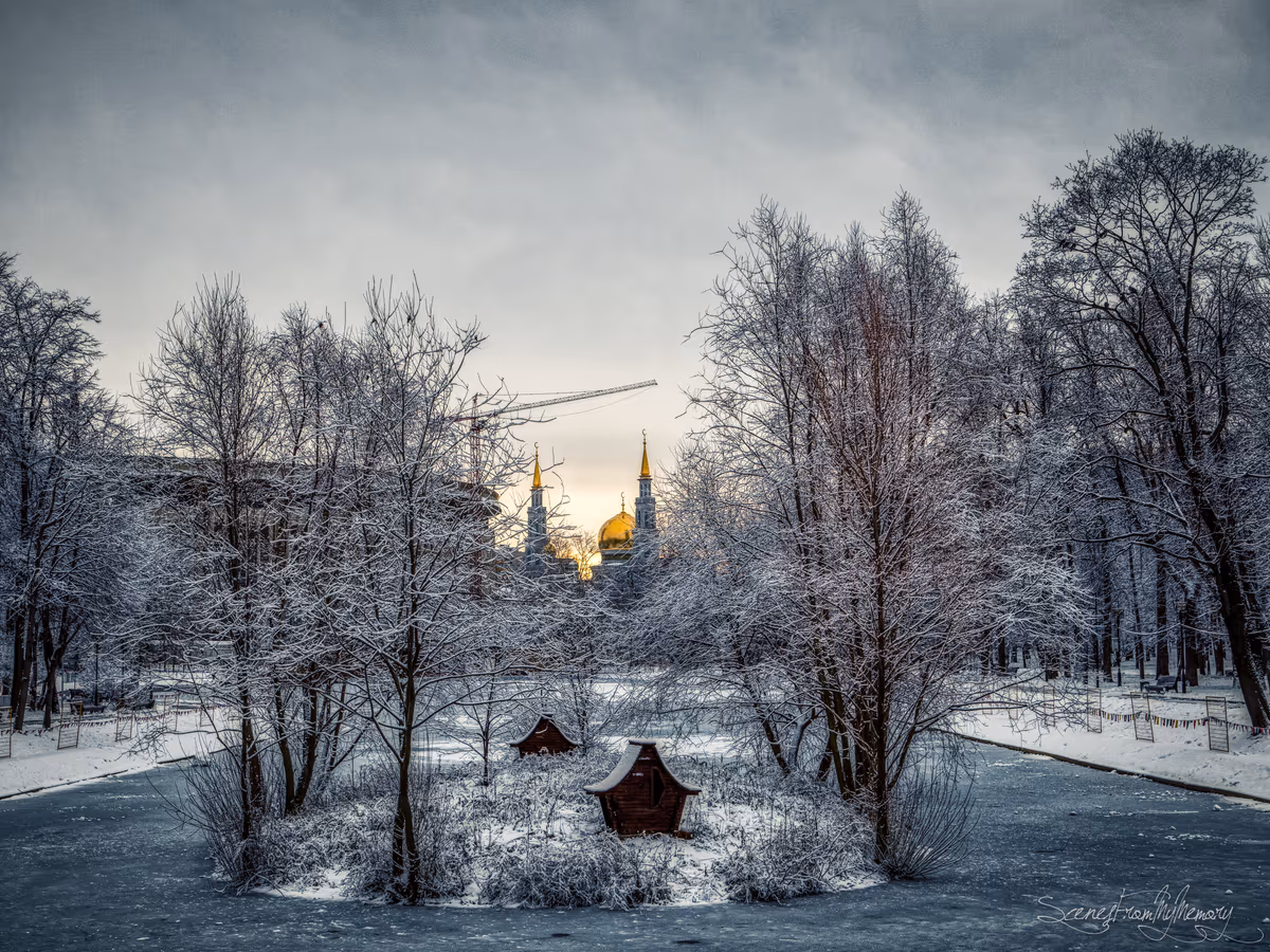 投稿写真：Frozen