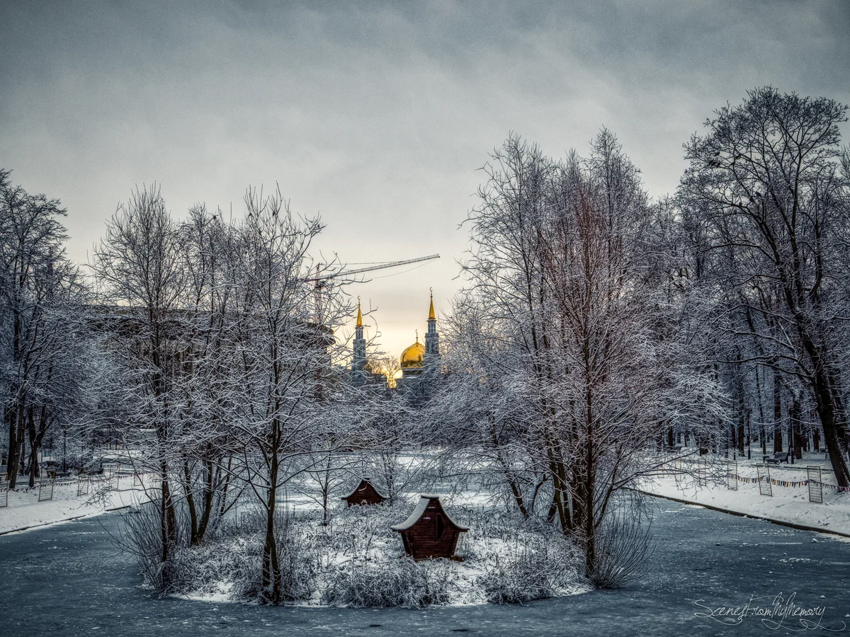 投稿写真：Frozen