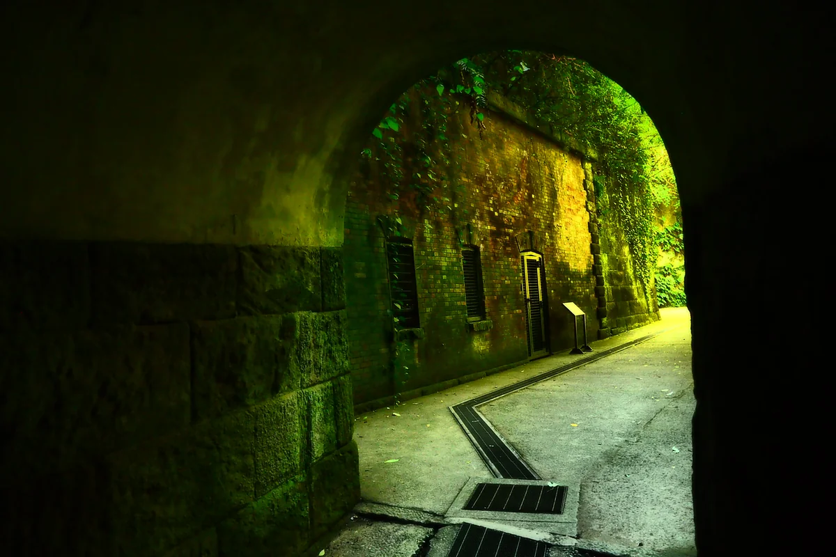 投稿写真：猿島　要塞の夢のあと　Ⅱ