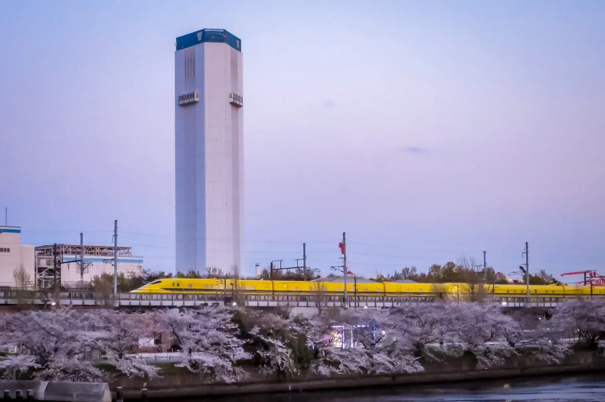 投稿写真：桜並木とドクターイエロー