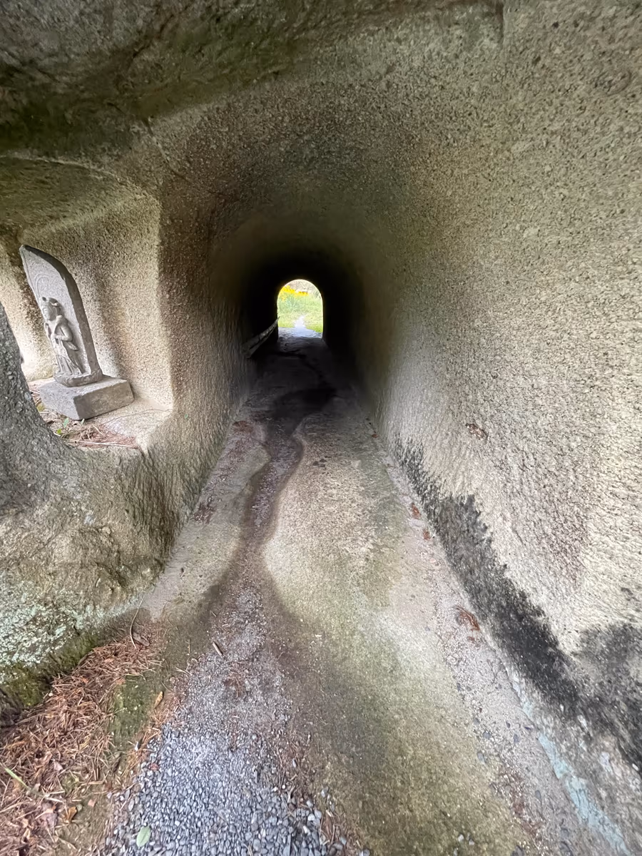 投稿写真：松島　雄島
