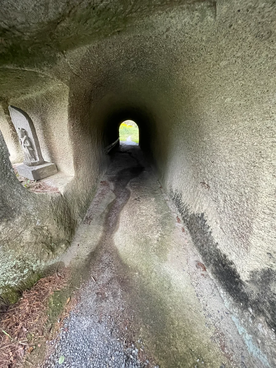 投稿写真：松島　雄島