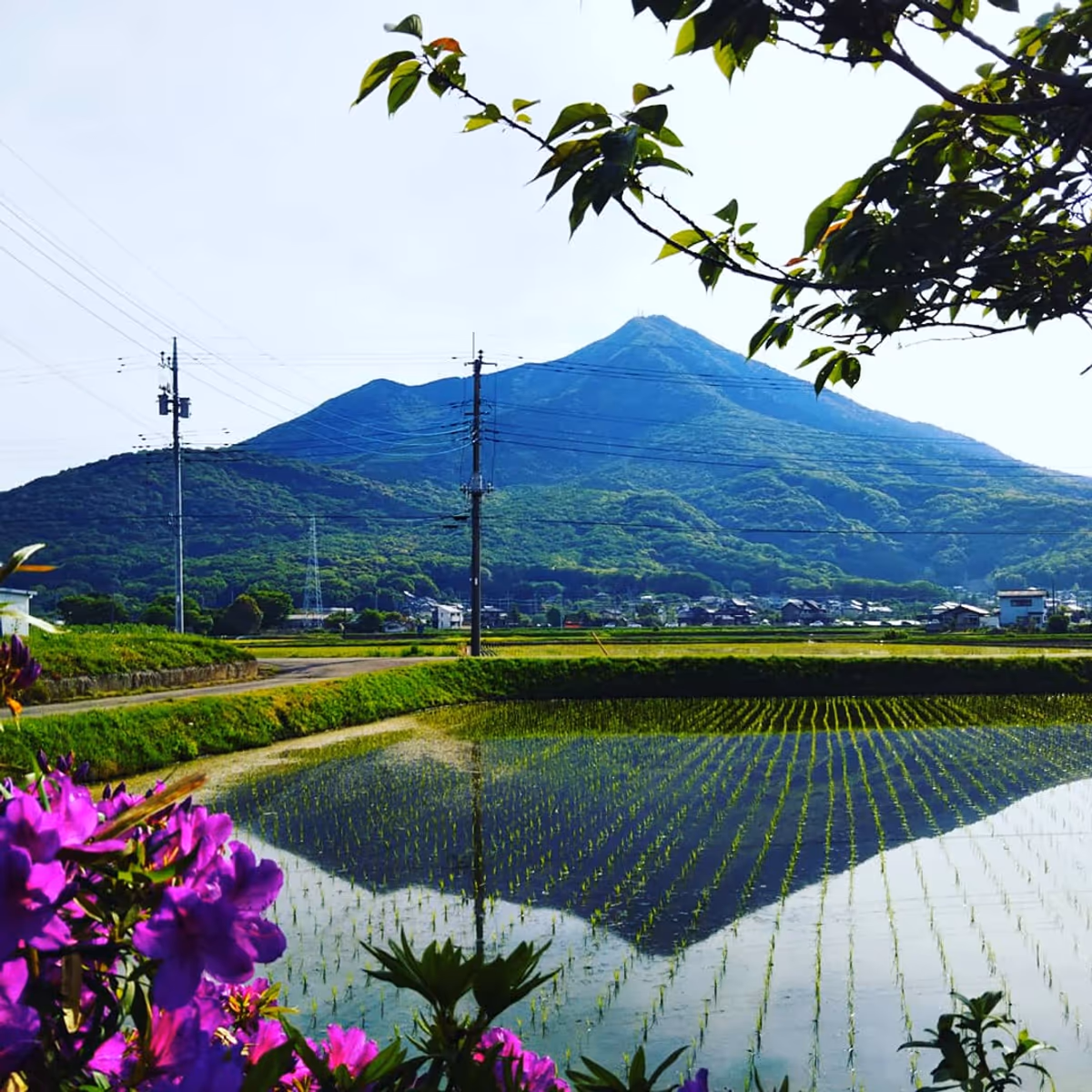 投稿写真：逆さ筑波山