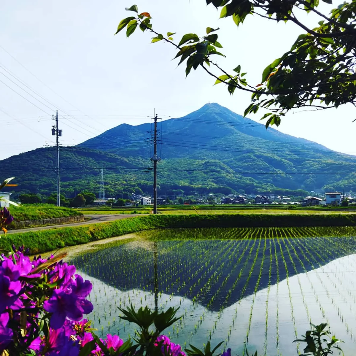 投稿写真：逆さ筑波山