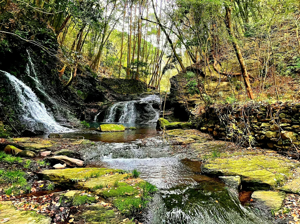 投稿写真：鳴滝