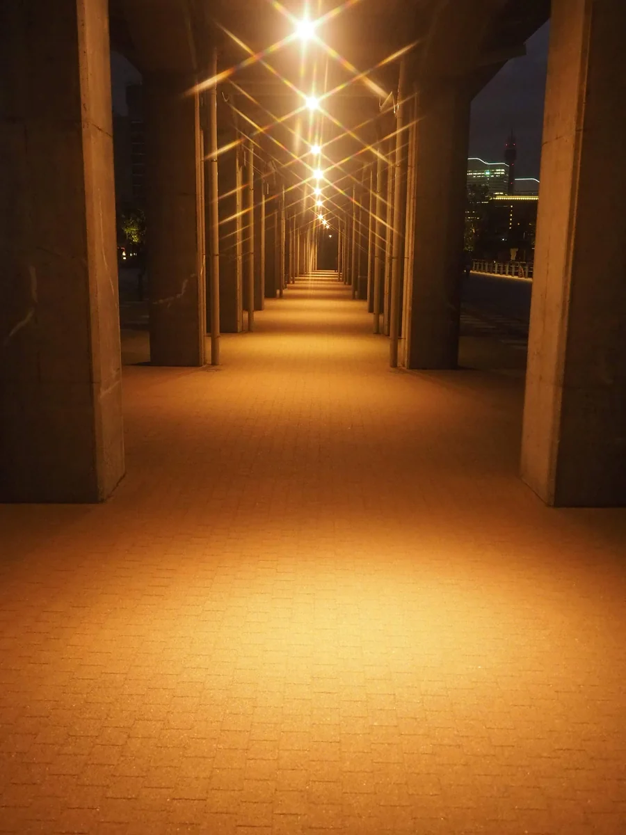 投稿写真：横浜臨港線プロムナード