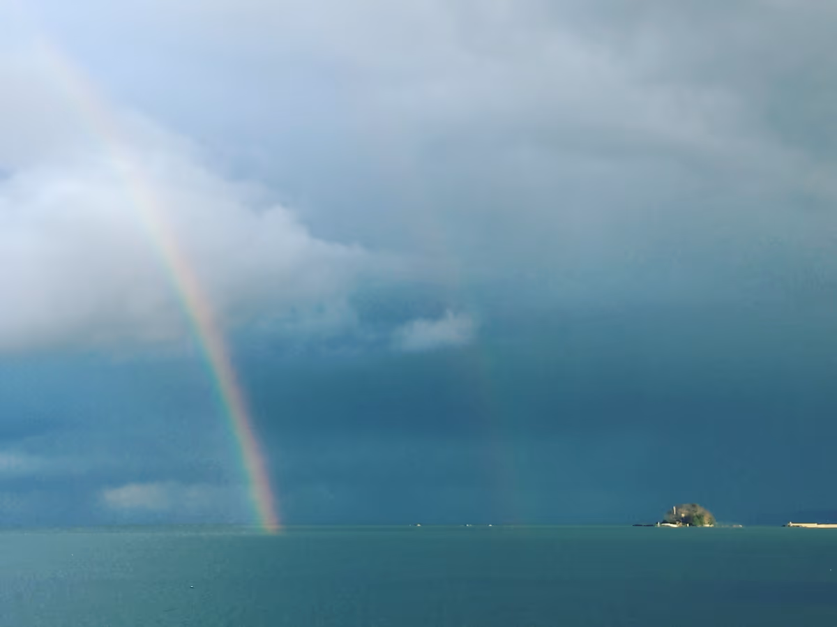 投稿写真：雨上がりの虹