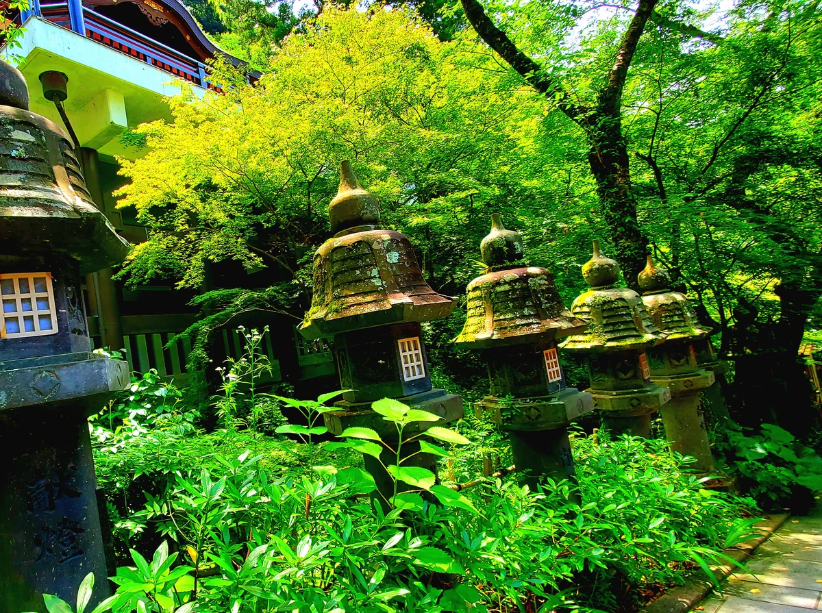 投稿写真：南蔵院の裏山はジブリの世界