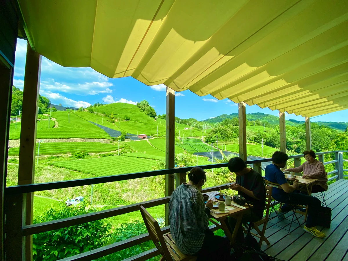 投稿写真：絶景にもほどがある❣️日本遺産「石寺の茶畑」を臨むカフェにて