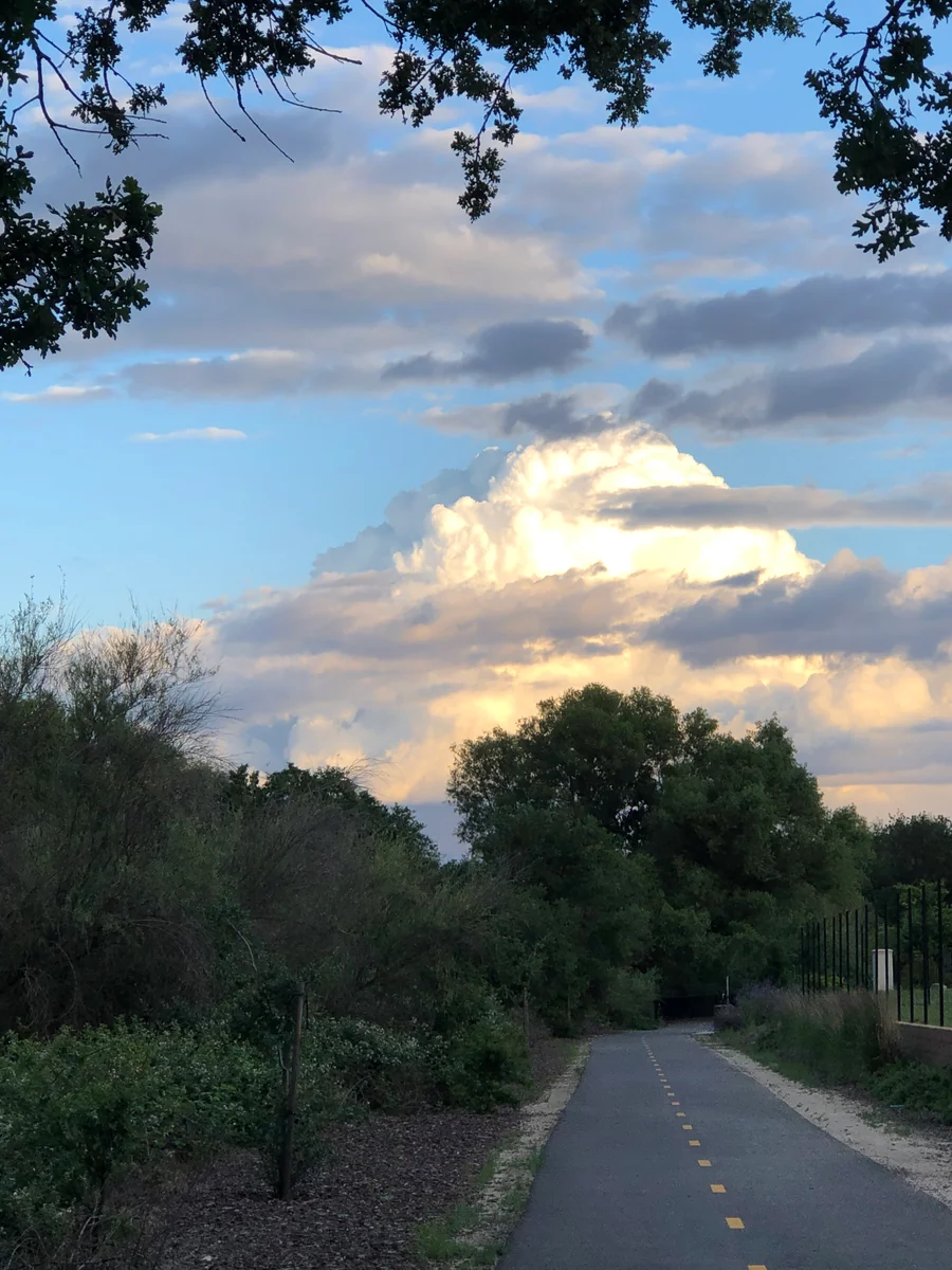 投稿写真：天空の城ラピュタ　luputacastleinthesky