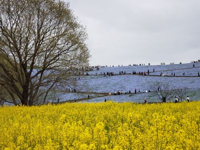  | 絶景事典