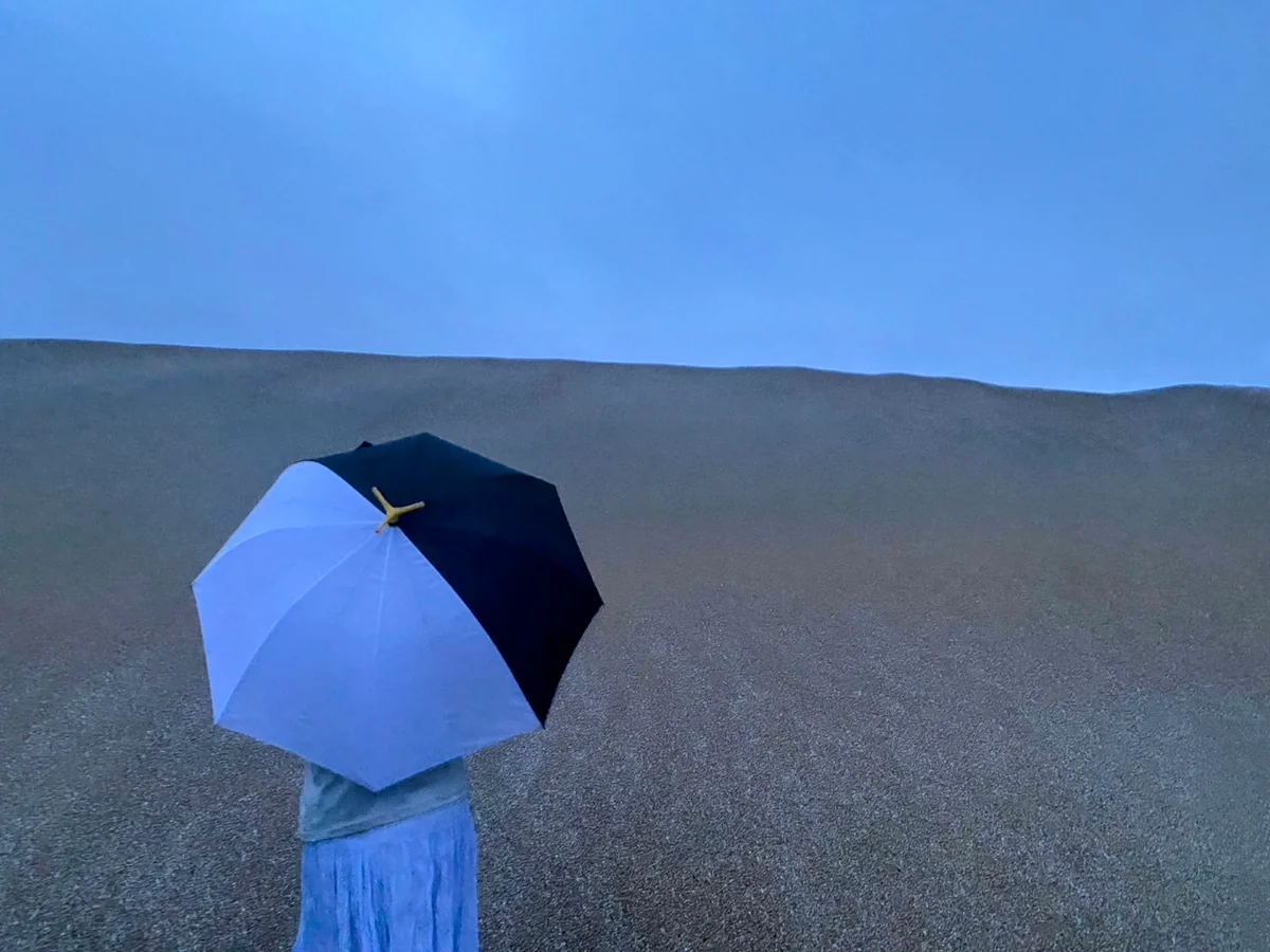 投稿写真：ペンギンの傘と砂丘