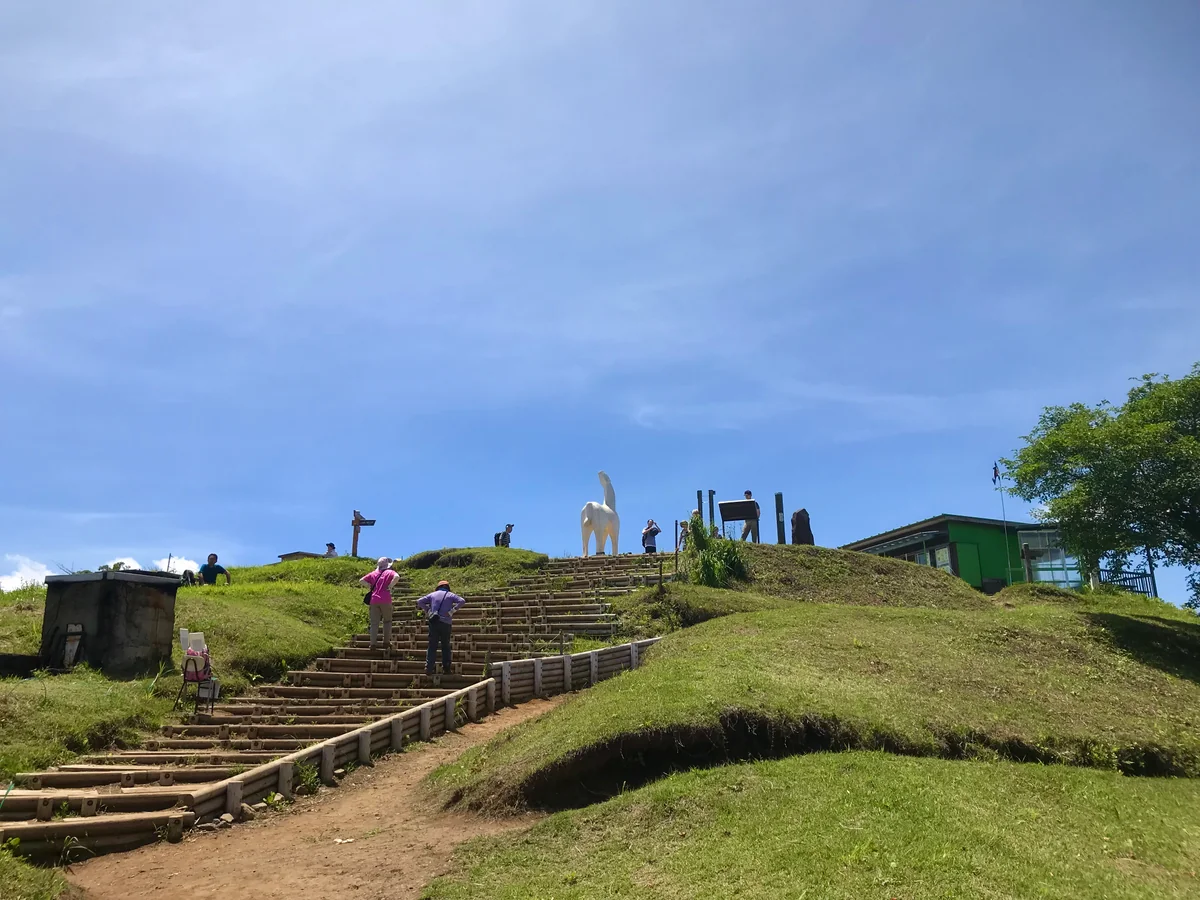 投稿写真：陣馬山山頂