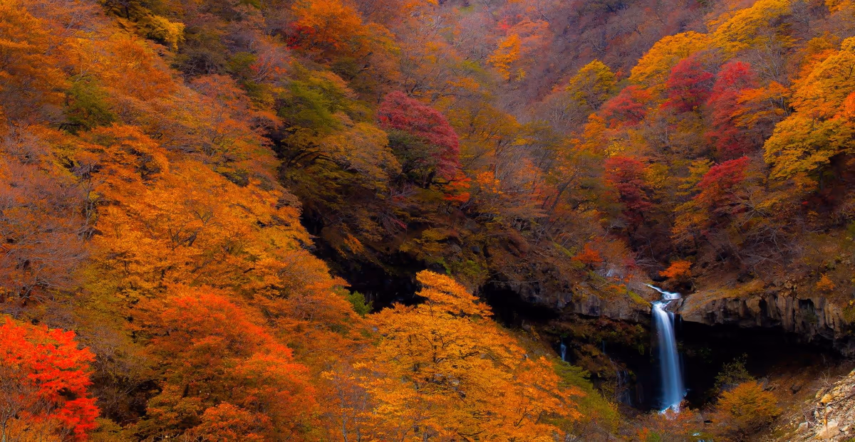 投稿写真：般若の滝の紅葉