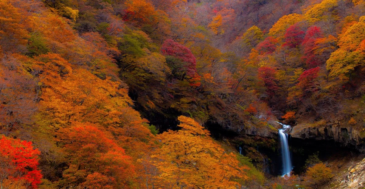 投稿写真：般若の滝の紅葉