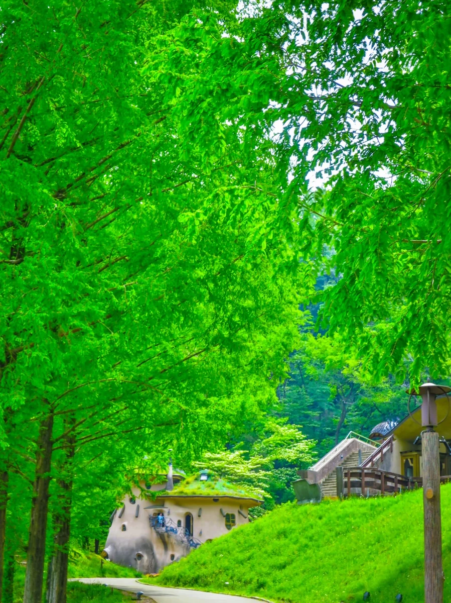 投稿写真：新緑に囲まれたきのこの家