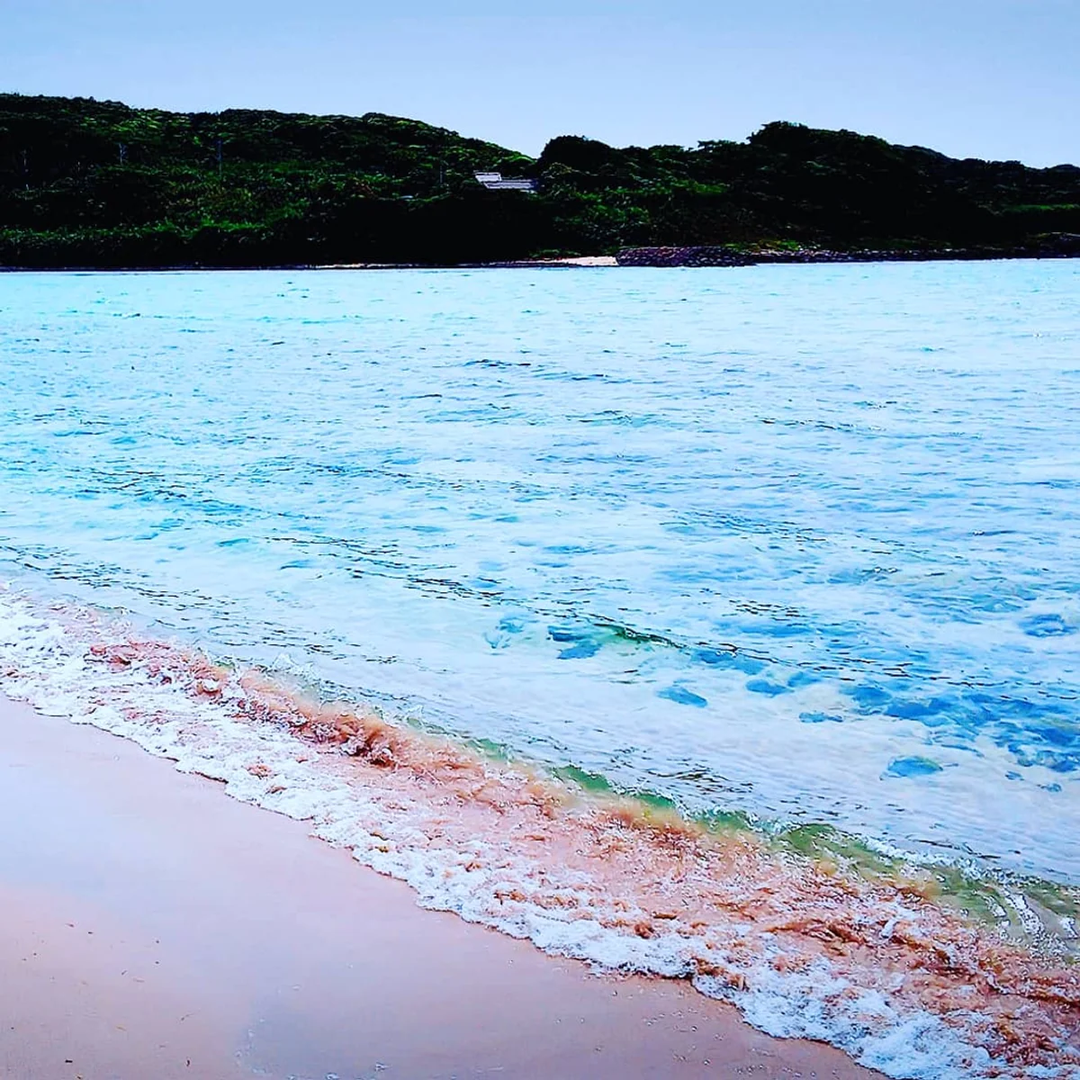 投稿写真：平戸大崎海水浴場