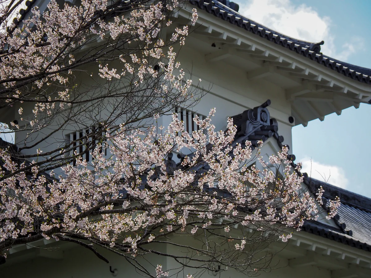 投稿写真：仙台城大手門脇櫓