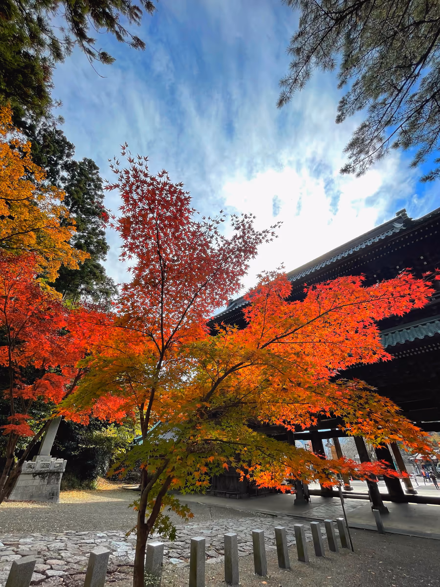 投稿写真：身延山久遠寺三門