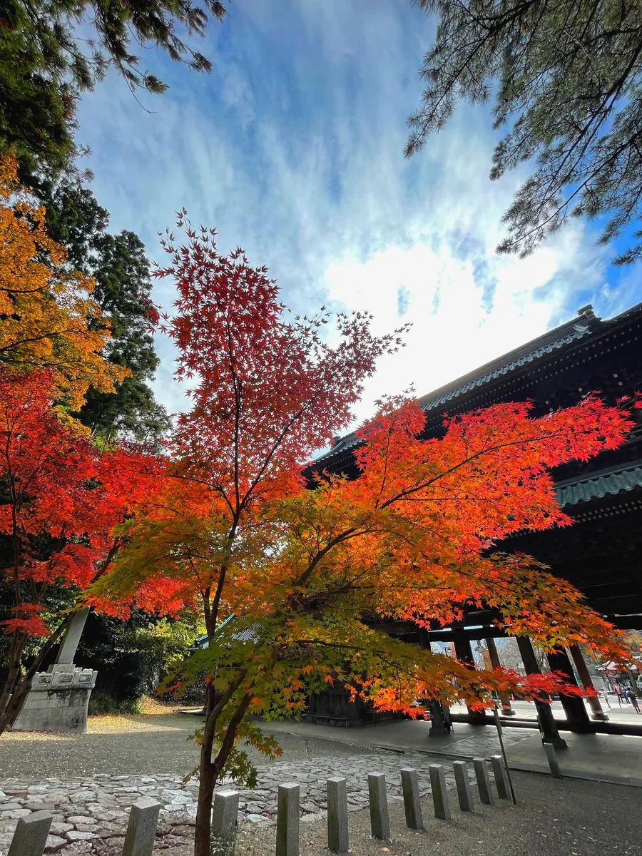 投稿写真：身延山久遠寺三門