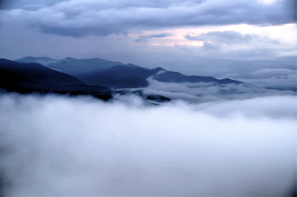 投稿写真：草津白根山　雨上がりの雲海