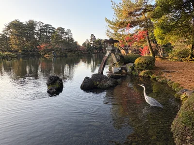 投稿：秋の兼六園