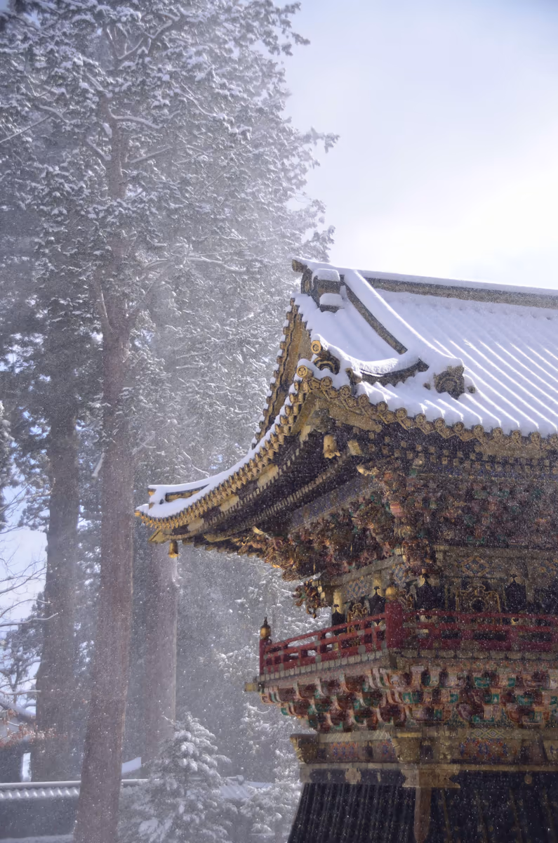 投稿写真：落雪