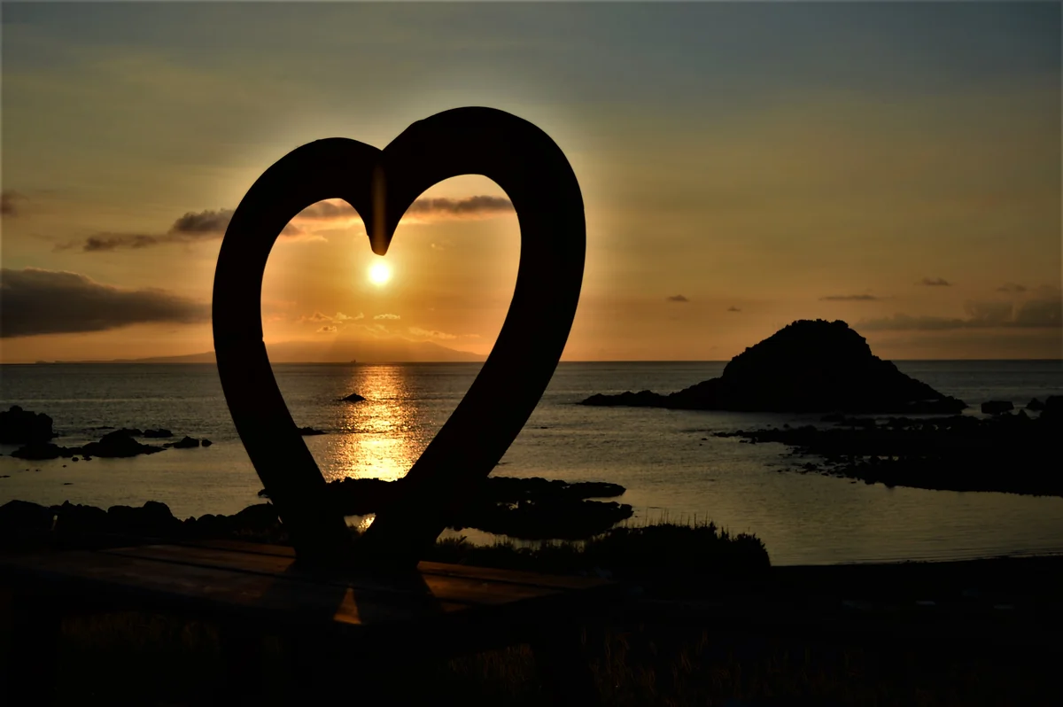 野人さんの投稿写真