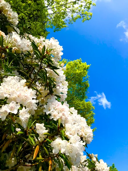 投稿：遙かなる野望を抱いて