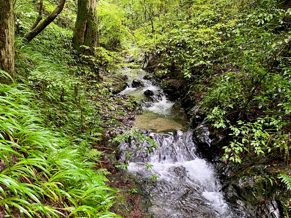 投稿写真：高尾の小川