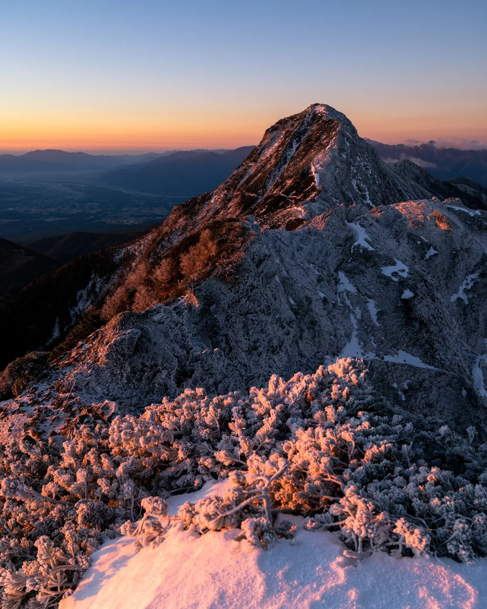 投稿写真：紅に染まる