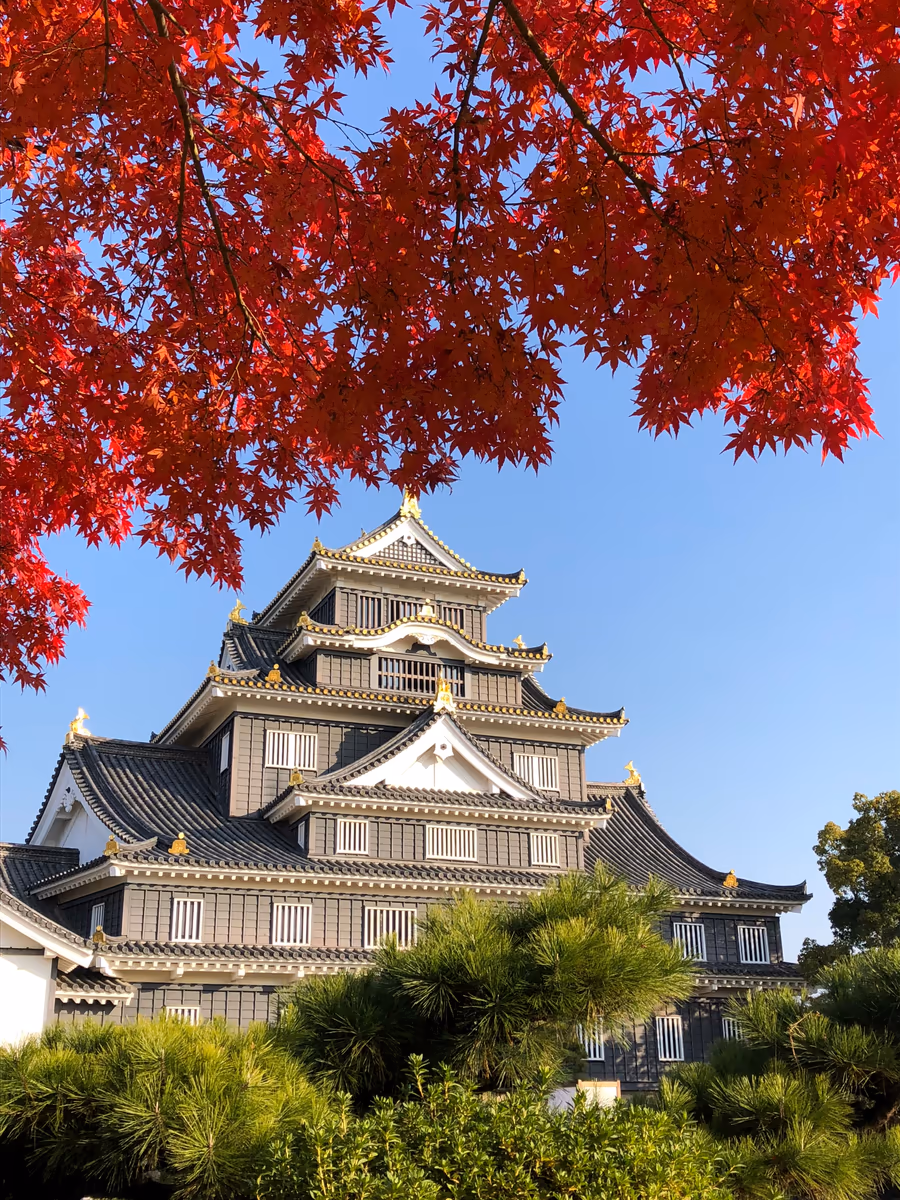 投稿写真：晩秋の岡山城