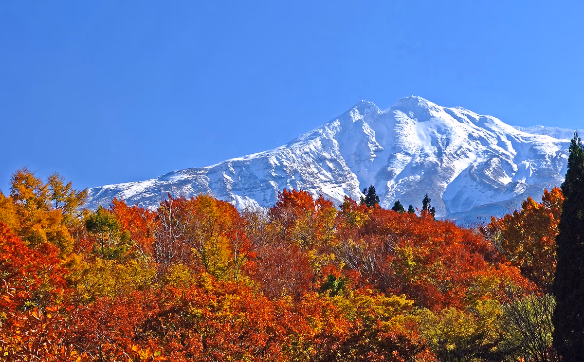 投稿写真：新雪、鳥海山！