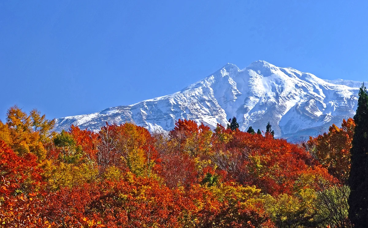 おいどん謙ちゃんさんの投稿写真