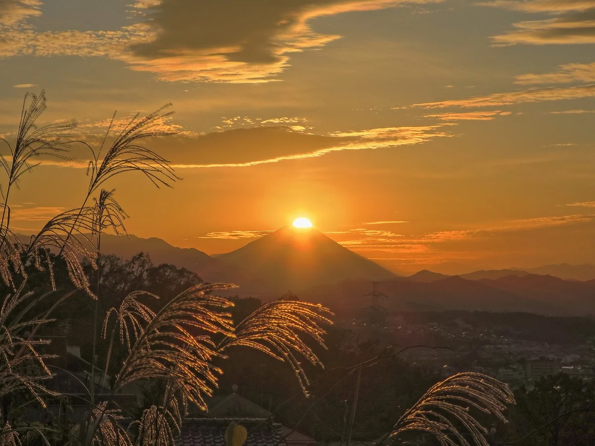 投稿写真：ススキダイヤモンド富士